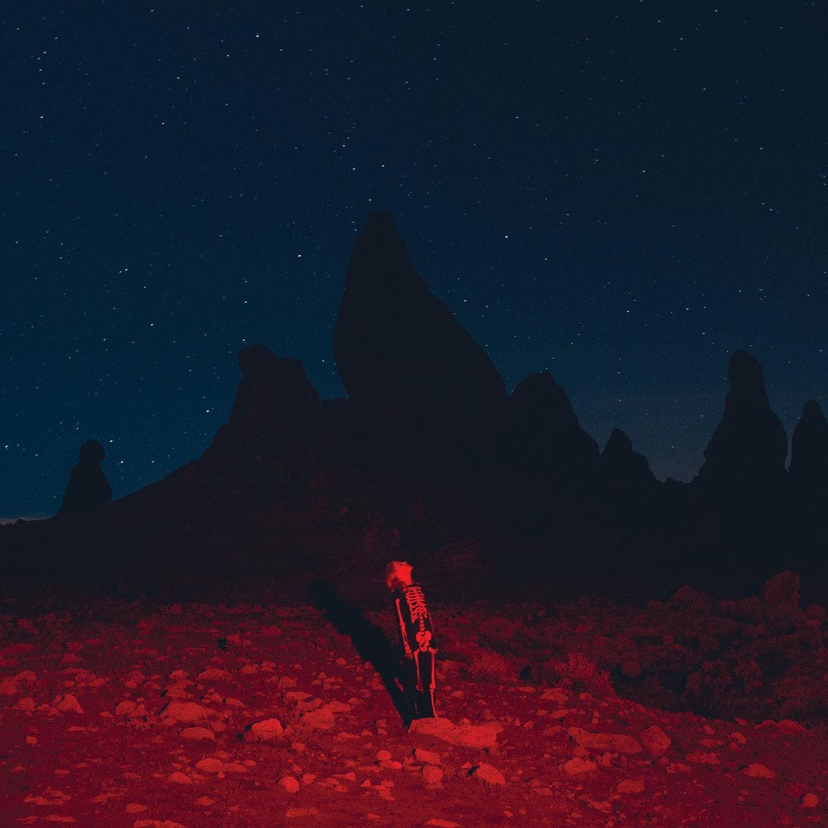 PHOEBE BRIDGERS - Punisher Vinyl { vinyl }