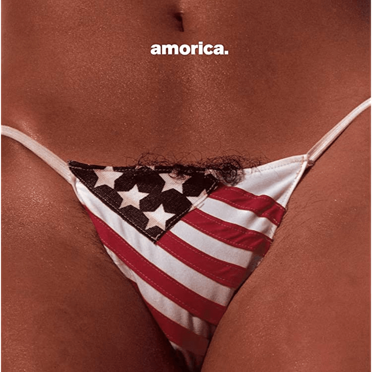 BLACK CROWES - Amorica Vinyl { vinyl }