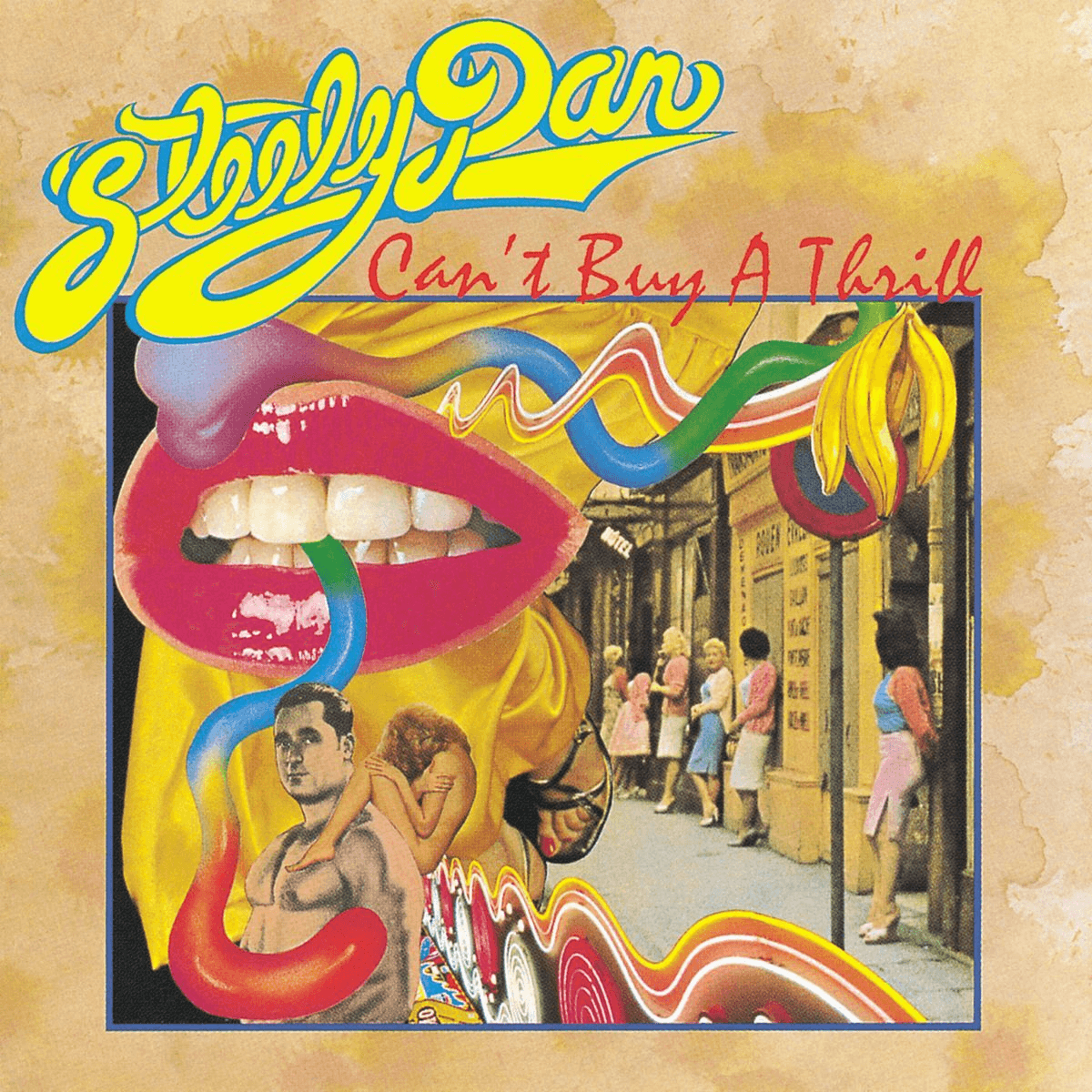 STEELY DAN - Can't Buy A Thrill Vinyl { vinyl }