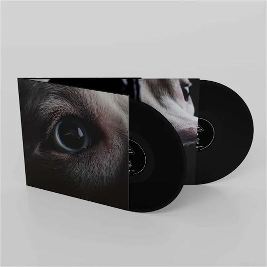 ROGER WATERS - The Dark Side of The Moon Redux Vinyl { vinyl }
