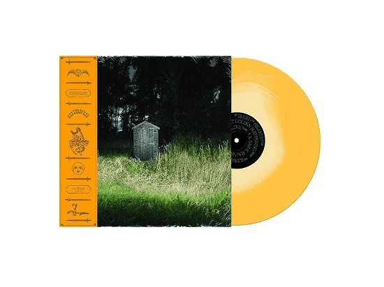 FRANK CARTER & THE RATTLESNAKES - Dark Rainbow Vinyl { vinyl }