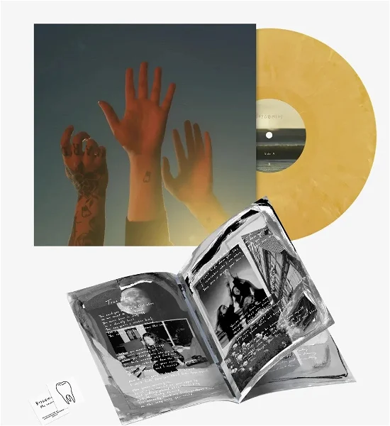 BOYGENIUS - The Record Vinyl { vinyl }