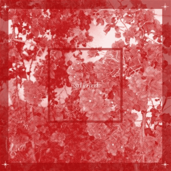 GIRL IN RED - Beginnings Vinyl { vinyl }