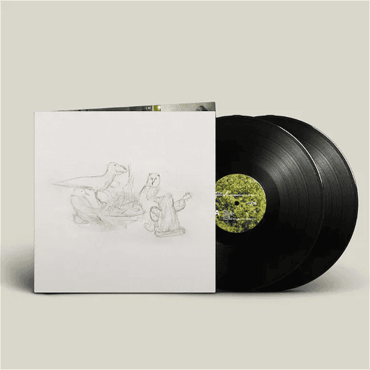 BIG THIEF - Dragon New Warm Mountain I Believe Vinyl