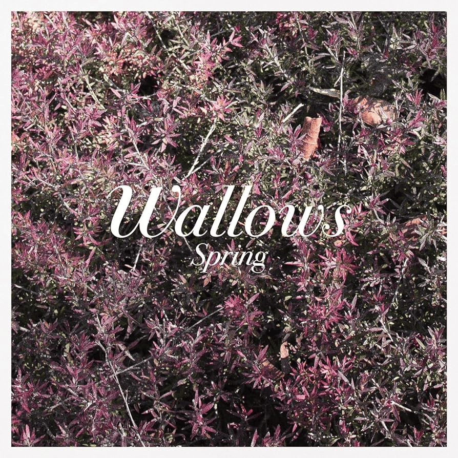 WALLOWS - Spring Vinyl { vinyl }