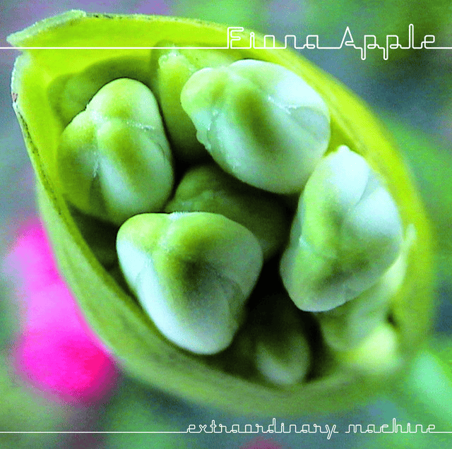 FIONA APPLE - Extraordinary Machine Vinyl { vinyl }