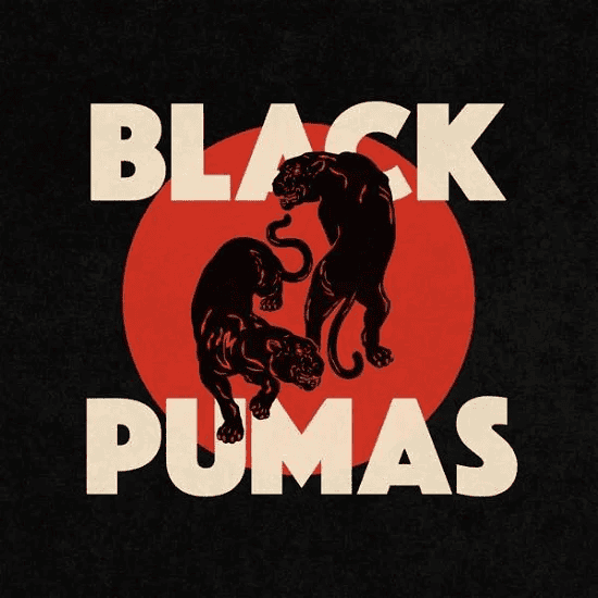 BLACK PUMAS - Black Pumas Vinyl { vinyl }