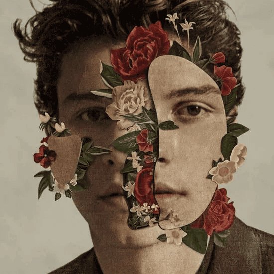 SHAWN MENDES - Shawn Mendes Vinyl { vinyl }