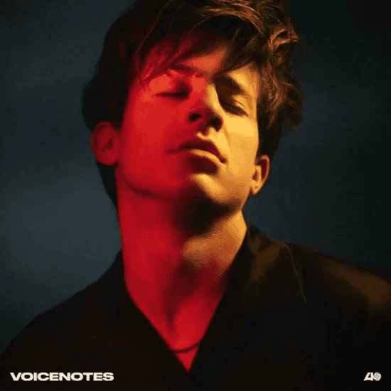 CHARLIE PUTH - Voicenotes Vinyl { vinyl }