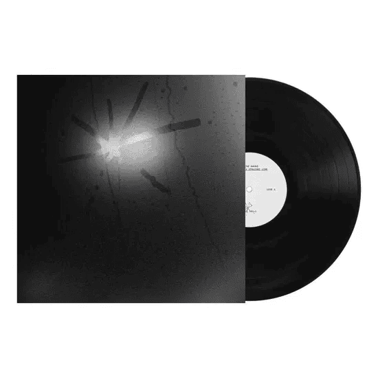 TOUCHE AMORE - Spiral in a Straight Line Vinyl { vinyl }