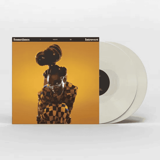 LITTLE SIMZ - Sometimes I Might Be Introvert Vinyl { vinyl }