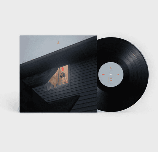 KILLS BIRDS - Crave Vinyl { vinyl }