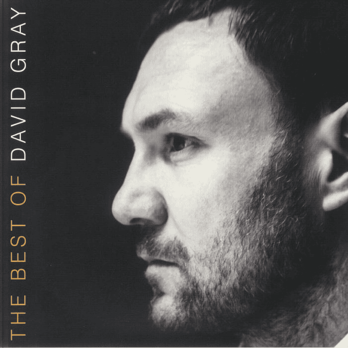 DAVID GRAY - The Best Of David Gray Vinyl { vinyl }