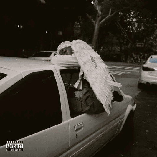 BLOOD ORANGE - Negro Swan Vinyl { vinyl }