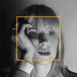 HAYLEY WILLIAMS - Ego Death From A Bachelorette Party Vinyl { vinyl }
