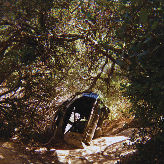 TY SEGALL - Possessions Vinyl { vinyl }