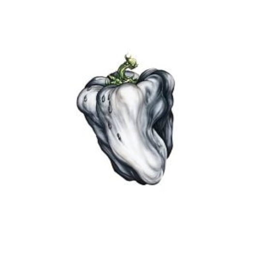 WEEN - White Pepper Vinyl { vinyl }