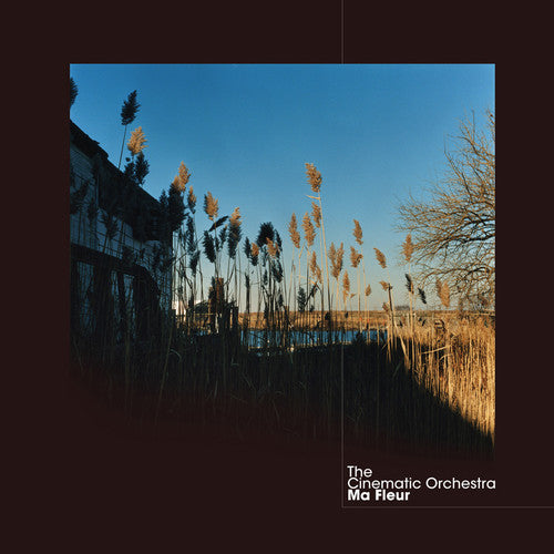 The Cinematic Orchestra - Ma Fleur [ Vinyl ]