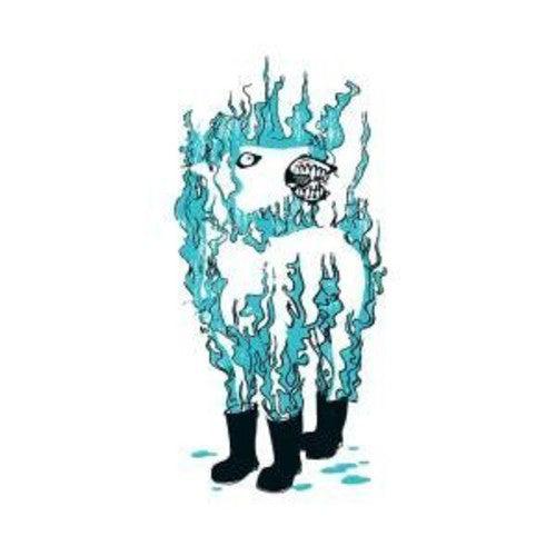 The Besnard Lakes - Casino Nanaimo [ Vinyl ]