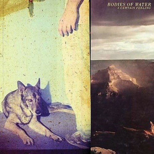 Bodies of Water - A Certain Feeling [ Vinyl ]