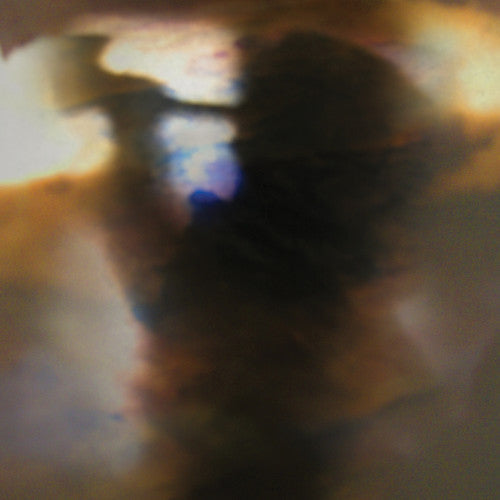 Animal Collective - Fall Be Kind [ Vinyl ]