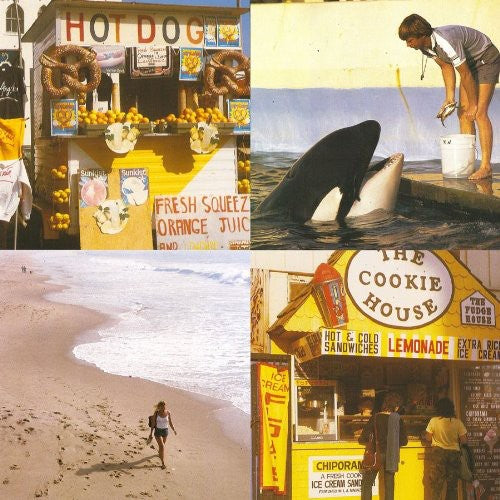 Best Coast - Something in the Way [ Vinyl ]