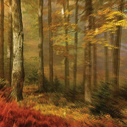 People of the North - Deep Tissue [ Vinyl ]