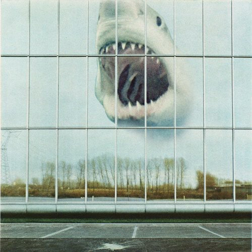 Black Mountain - Wilderness Heart [ Vinyl ]