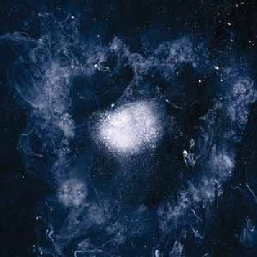 Swans - My Father Will Guide Me Up a Rope to the Sky [ Vinyl ]