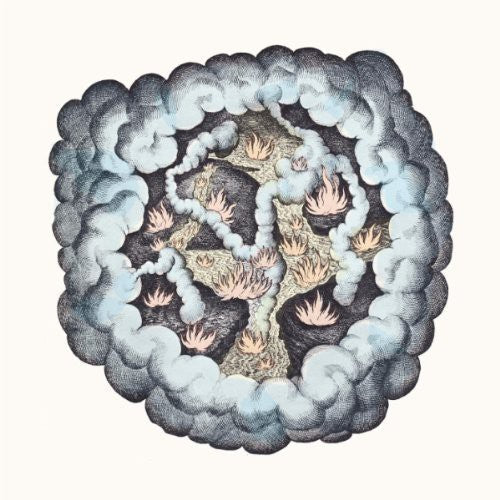TW Walsh - Songs of Pain and Leisure [ Vinyl ]