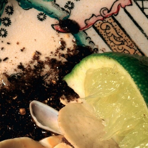 Donato Dozzy - Plays Bee Mask [ Vinyl ]