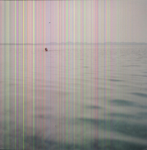 Blue Cranes - Swim [ Vinyl ]