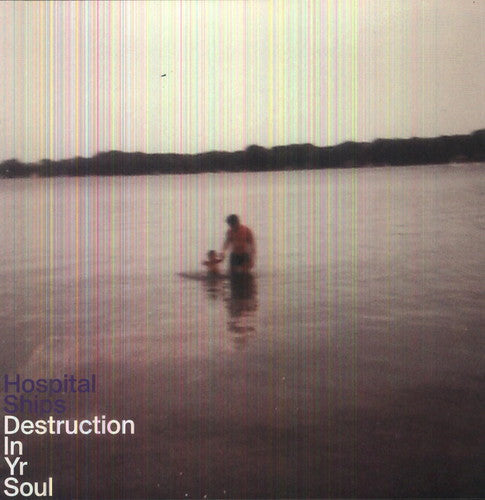 Hospital Ships - Destruction in Yr Soul [ Vinyl ]