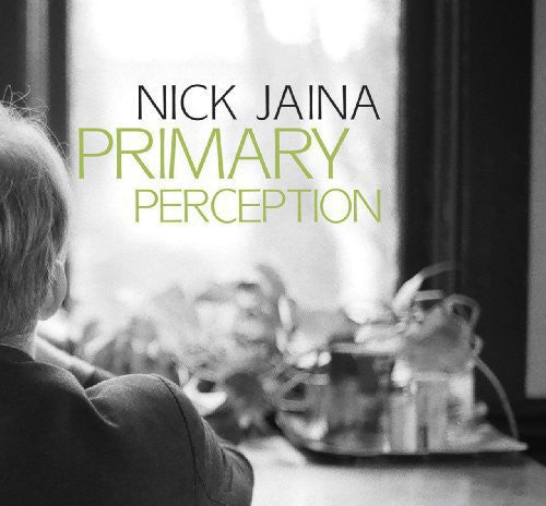Nick Jaina - Primary Perception [ Vinyl ]