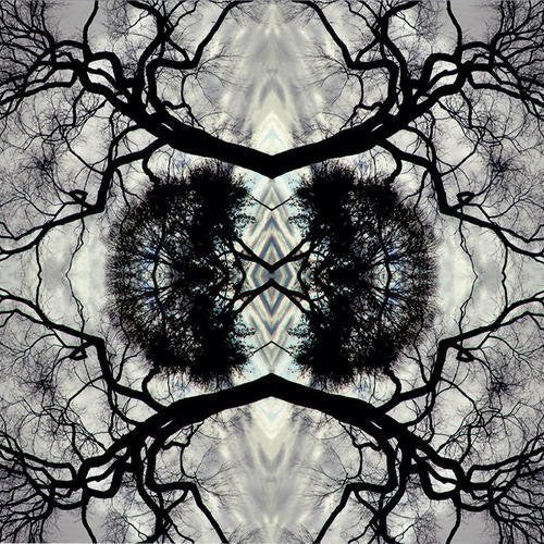 Adam Rudolph - Sonic Mandala Go: Organic Orchestra [ Vinyl ]