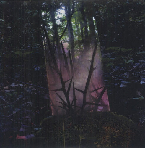 Jensen Sportag - Stealth of Days [ Vinyl ]