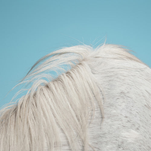 Widowspeak - All Yours [ Vinyl ]