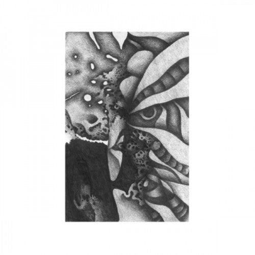 Vibracathedral Orchestra - Rec Blast Motorbike [ Vinyl ]