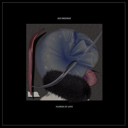 Ian Drennan - Flower of Love [ Vinyl ]