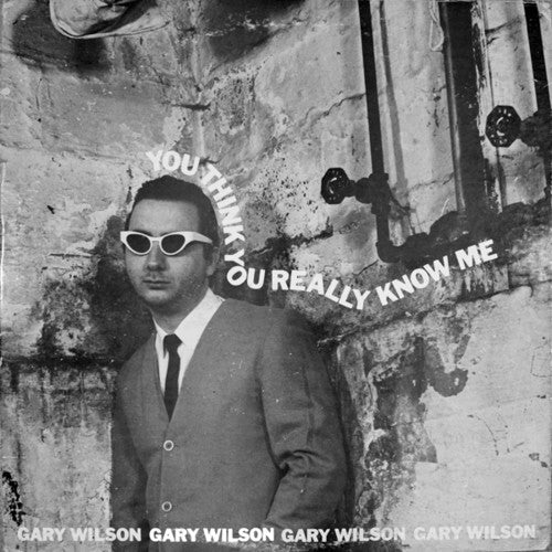 Gary Wilson - You Think You Really Know Me [ Vinyl ]