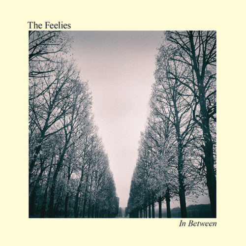 The Feelies - In Between [ Vinyl ]