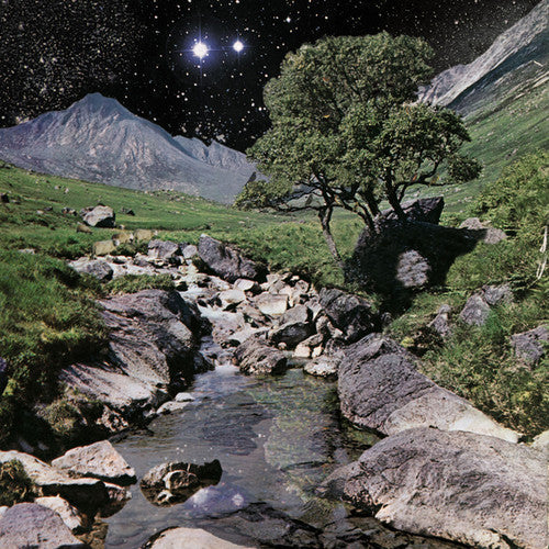 The Beta Band - The Beta Band [ Vinyl ]