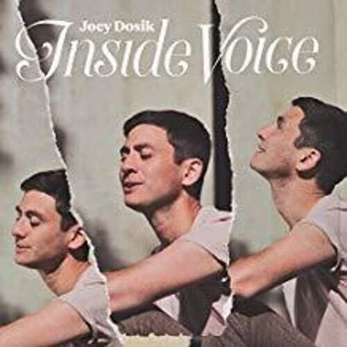 Joey Dosik - INSIDE VOICE [ Vinyl ]