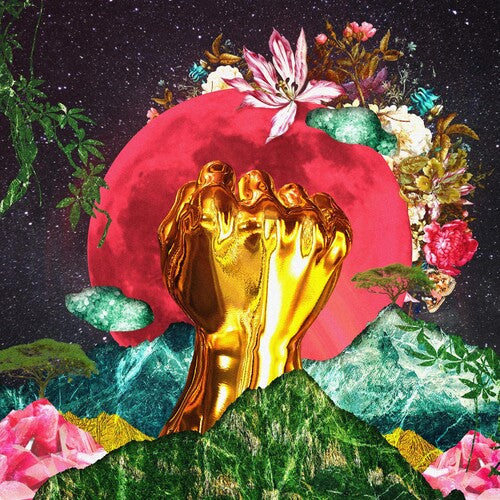 Rina Mushonga - In A Galaxy [ Vinyl ]