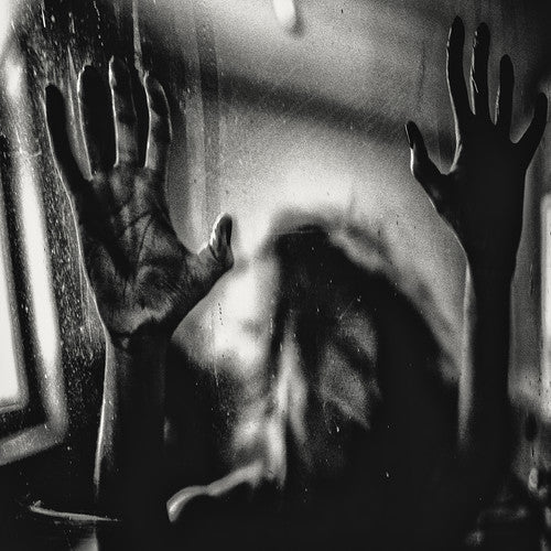 Behind the Shadow Drops - Harmonic [ Vinyl ]