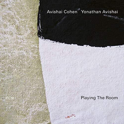 Playing The Room [ Vinyl ]