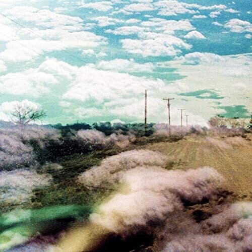 The World Is a Beautiful Place & I Am No Longer Afraid to Die - Always Foreign [ Vinyl ]