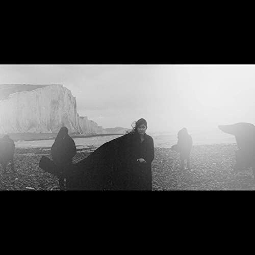 Dog in the Snow - Vanishing Lands [ Vinyl ]
