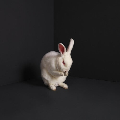 Brume - Rabbits [ Vinyl ]
