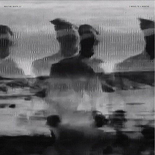 Routine Death - 2 Weeks To 4 [ Vinyl ]